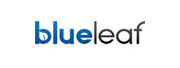 blueleaf