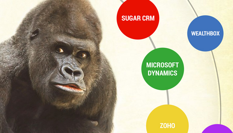 It just wouldn’t be as fun without an 800 pound gorilla to play with in the CRM zoo.