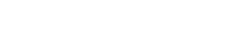 Wealthbox Logo White
